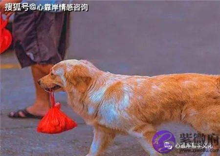 忠心耿耿之人的生辰特征【生辰命理】