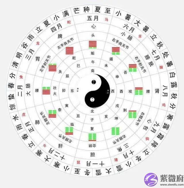 大运怎麽看：原局、大运、流年的三个层次