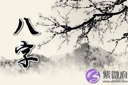 生辰入门：乙木命带华盖的女人