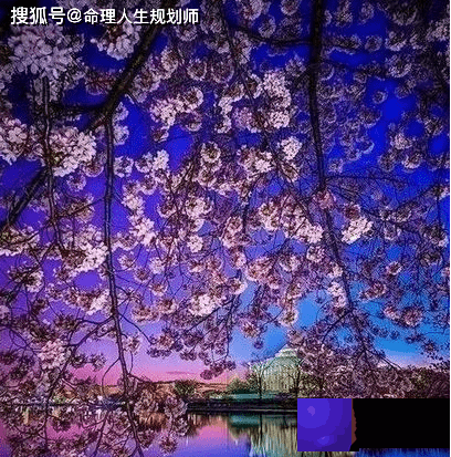 生辰生辰看生辰，命格普通，时运不稳定的命