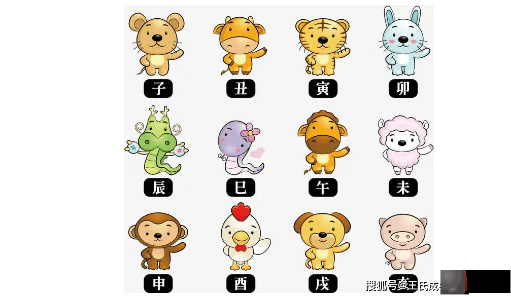 起名字生肖重要还是生辰命理重要？