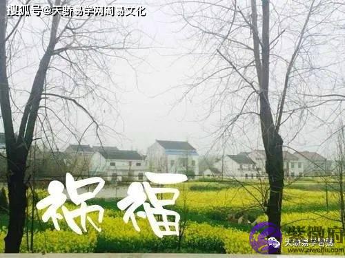 易犯口业的生辰特征【生辰命理】