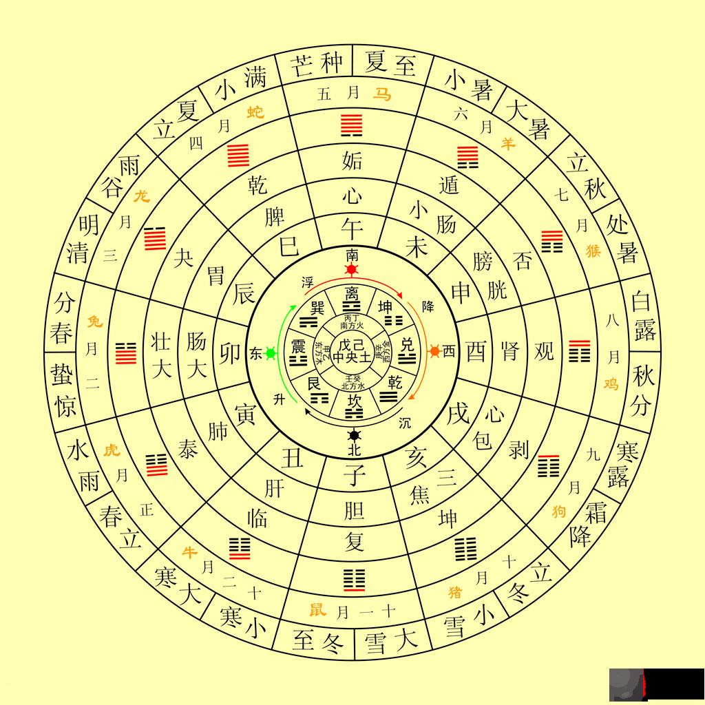 生辰命理：体弱多病的人的生辰特征，哪些生辰容易体弱多病？如何补救？
