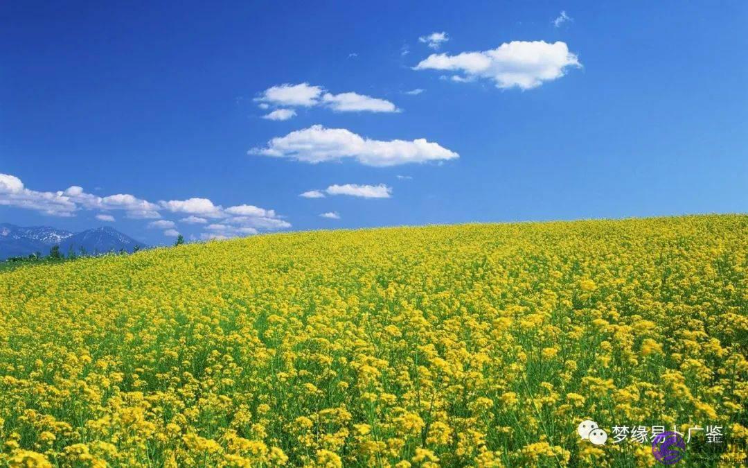生辰命理：人生多动荡的生辰特征