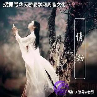 命中带情劫会怎样【生辰算婚姻】