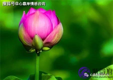 生辰格局清纯是什麽样的？