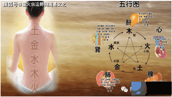 生辰算寿终：分析生辰与寿命的关系