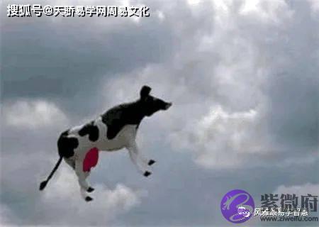 生辰解读：爱吹牛说大话的生辰特征
