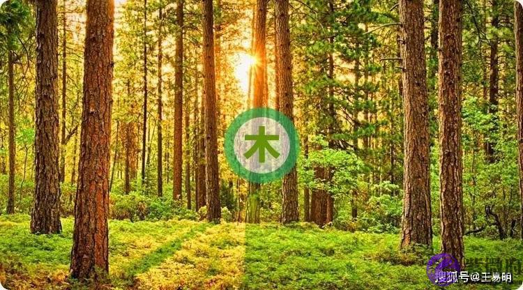 五行缺火、喜火之人喜用什麽颜色？家居风水装修时用什麽颜色？山东潍坊王易明