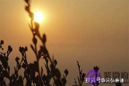 生辰里有华盖是什麽意思？华盖星入命好不好？
