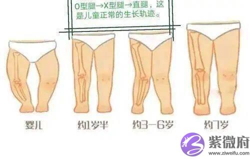 扒一扒儿童内生辰的那些事儿