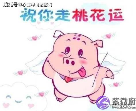 命中带桃花的人有什麽生辰【生辰算婚姻】