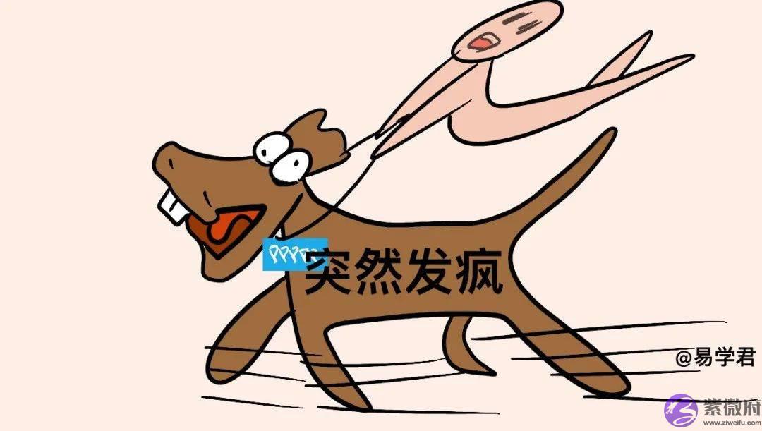 超火的网红神煞：生辰的驿马星查法及详解