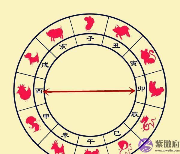 详解生辰中“地支相冲”的表象