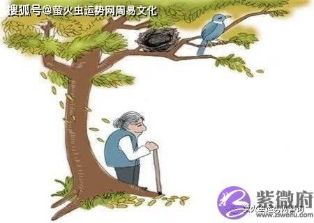 晚年凄凉的生辰特征【生辰命理】