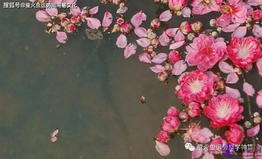 详解生辰神煞的桃花【生辰算婚姻】