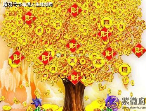 财运生辰看财运，偏财运旺的女人，有什麽生辰特征