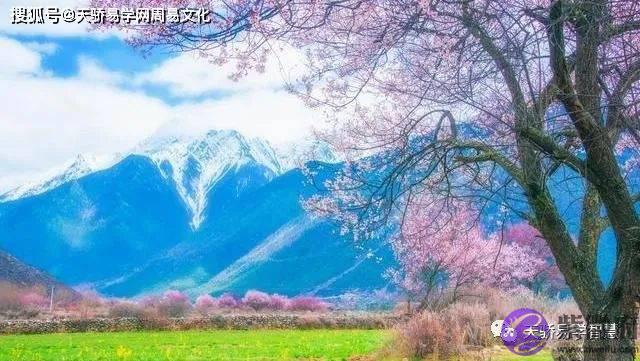 如何看流年有没有桃花？生辰预测夫妻宫桃花运