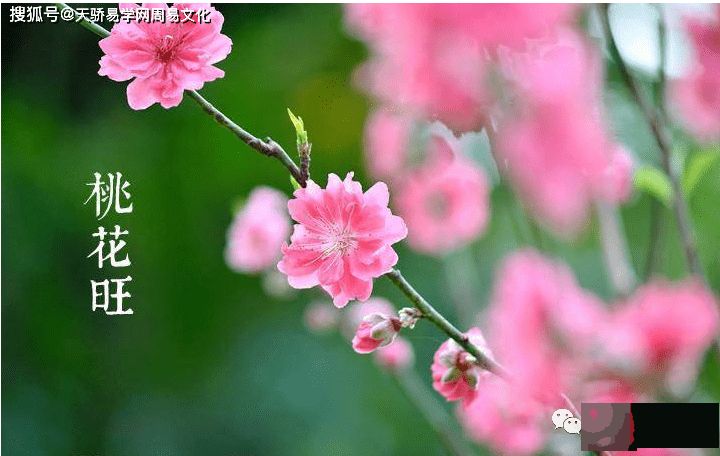 如何看流年有没有桃花？生辰预测夫妻宫桃花运