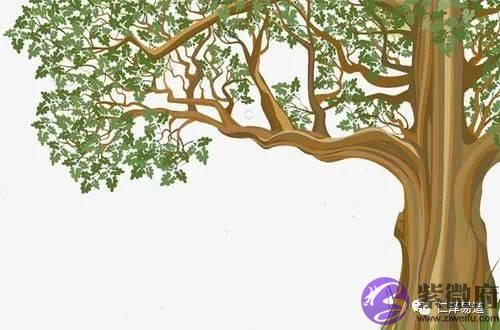 生辰入门：食神月柱七杀在时柱