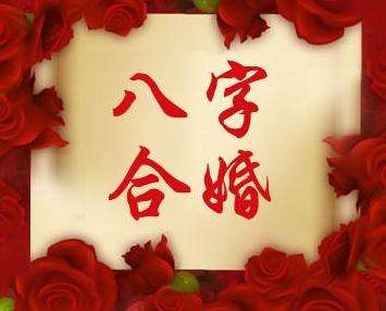 八字合婚能看到那些信息 查询八字合婚