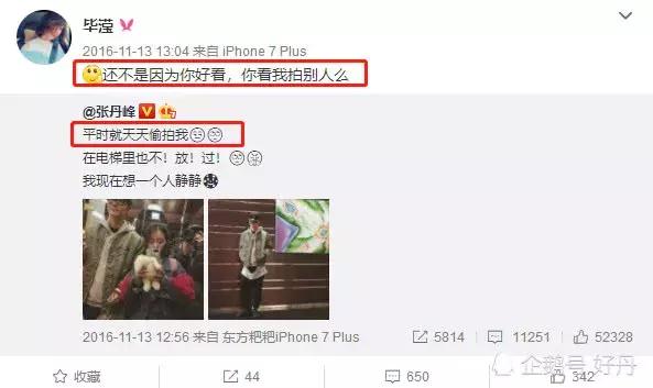 王宝强八字合婚 王宝强八字合婚