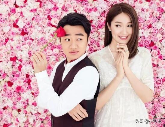 从八字看李亚男和王祖蓝是否合婚 从八字看李亚男和王祖蓝是否合婚
