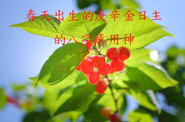 八字合婚男丙火日克女命庚金日吗 八字合婚男丙火日克女命庚金日吗