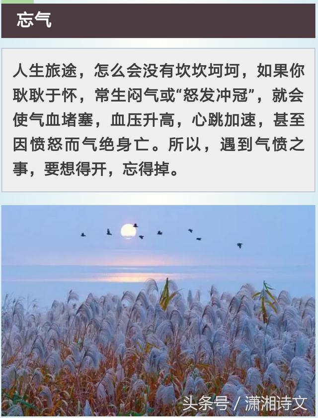 八字合婚中上格局
