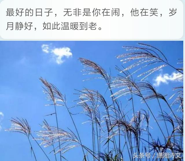 八字合婚中上格局