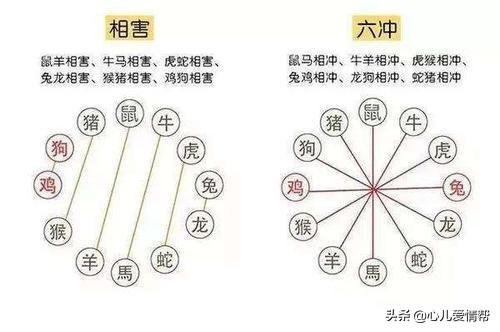 星座合婚准还是八字合婚准 星座合婚准还是八字合婚准