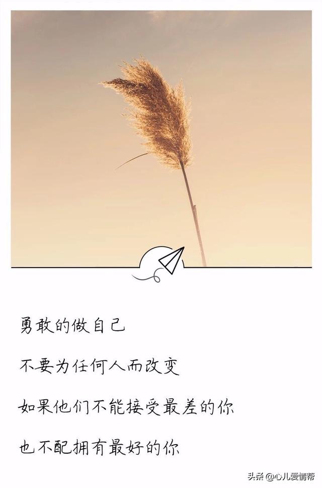 星座合婚准还是八字合婚准 星座合婚准还是八字合婚准