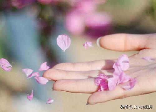 八字合婚两个属马巨蟹 八字合婚两个属马巨蟹