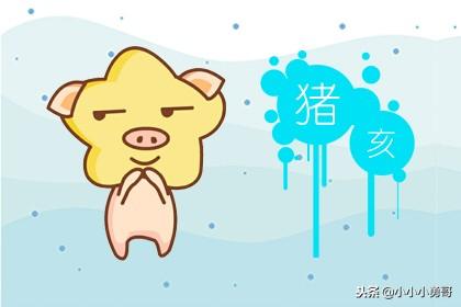 网上八字合婚中的速配指数 网上八字合婚中的速配指数