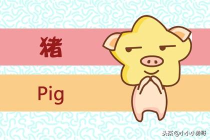 网上八字合婚中的速配指数 网上八字合婚中的速配指数