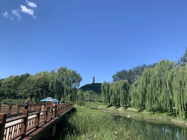合婚八字四柱缝合
