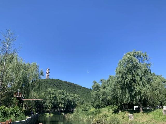 合婚八字四柱缝合