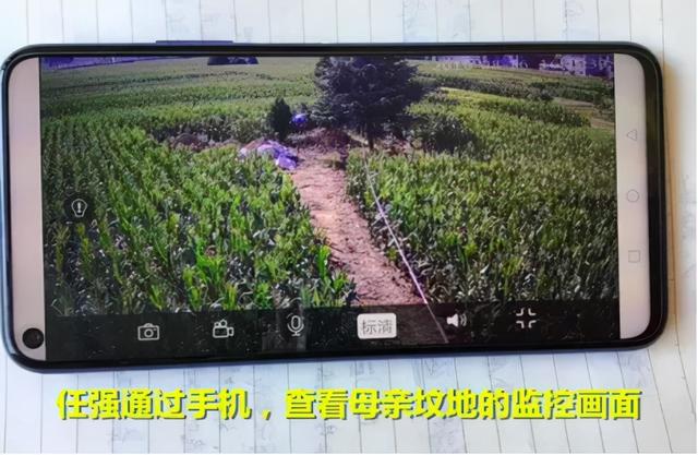 八字合婚排行 八字合婚排行