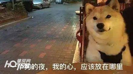 名典八字合婚准吗 名典八字合婚准吗