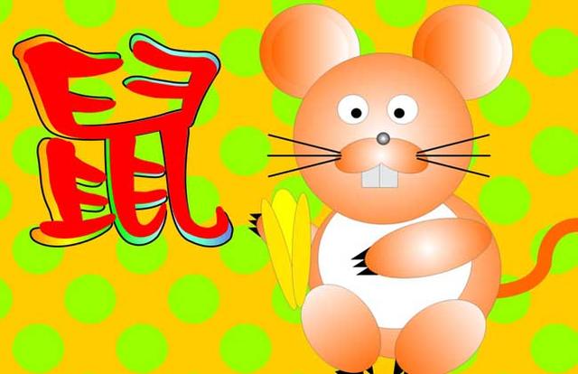 女鼠男狗八字合婚 女鼠男狗八字合婚