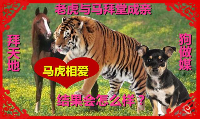 易经如何合婚