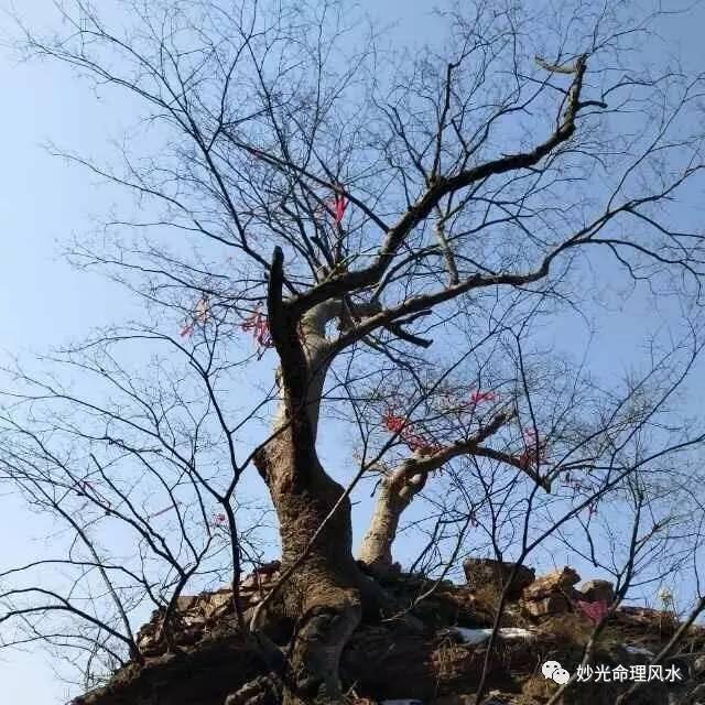合婚八字不合可信吗