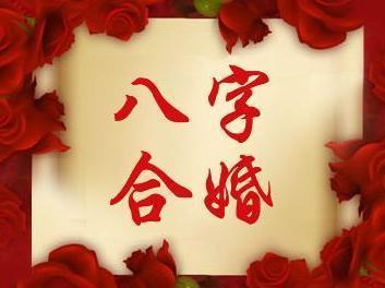四柱八字合婚软件