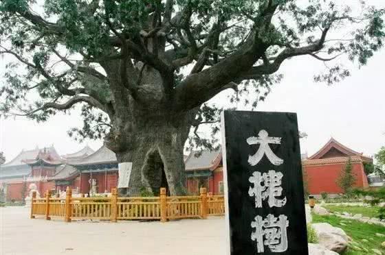 山西平鲁算命合婚 山西平鲁算命合婚