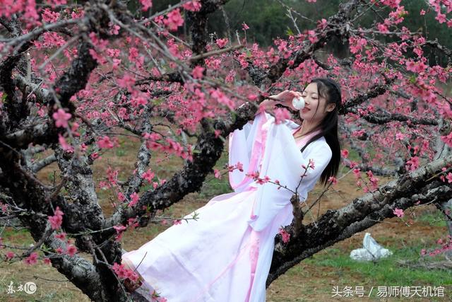 夫妻生辰八字合婚免费测试