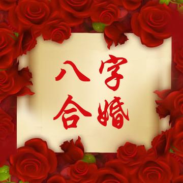 合婚八字相害